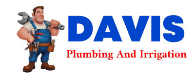 Trusted plumber in LANEBURG